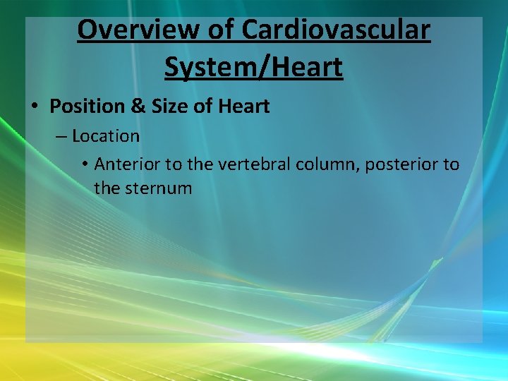 Overview of Cardiovascular System/Heart • Position & Size of Heart – Location • Anterior