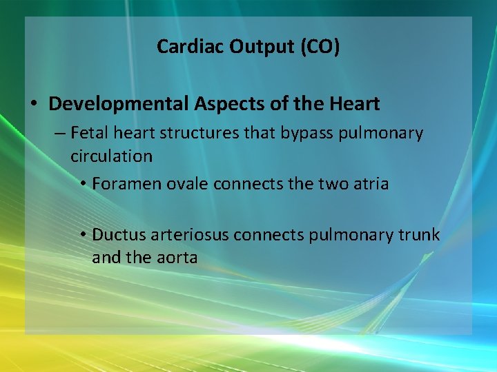 Cardiac Output (CO) • Developmental Aspects of the Heart – Fetal heart structures that