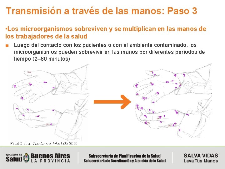 Transmisión a través de las manos: Paso 3 • Los microorganismos sobreviven y se