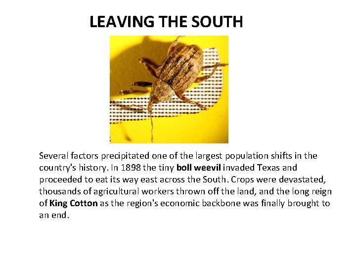 LEAVING THE SOUTH Several factors precipitated one of the largest population shifts in the