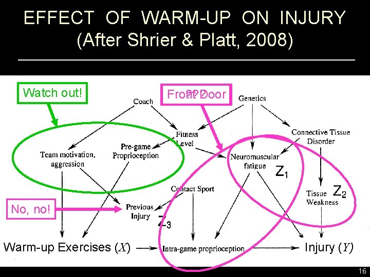 EFFECT OF WARM-UP ON INJURY (After Shrier & Platt, 2008) Watch out! ? ?