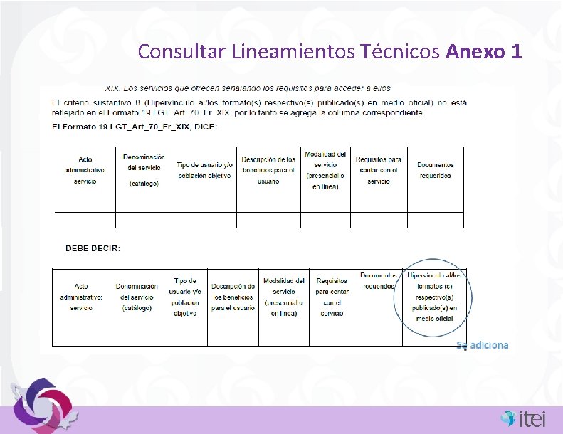 Consultar Lineamientos Técnicos Anexo 1 