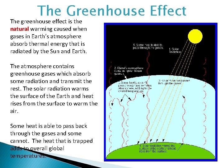 The Greenhouse Effect The greenhouse effect is the natural warming caused when gases in