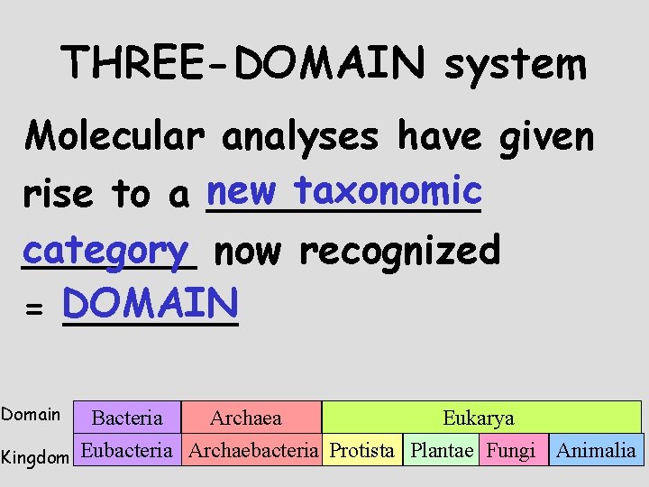 THREE-DOMAIN system Molecular analyses have given taxonomic rise to a new ______ category _______