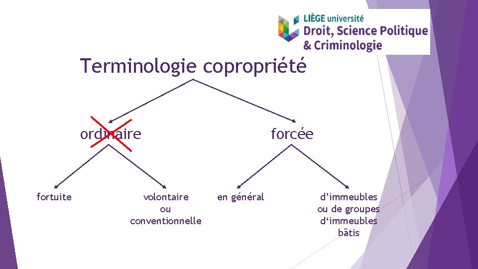 Terminologie copropriété ordinaire fortuite volontaire ou conventionnelle forcée en général d’immeubles ou de groupes