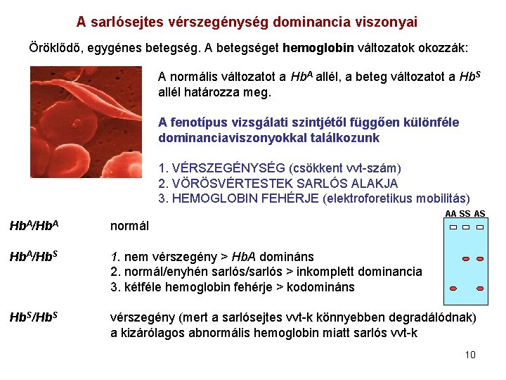 A sarlósejtes vérszegénység dominancia viszonyai Öröklődő, egygénes betegség. A betegséget hemoglobin változatok okozzák: A