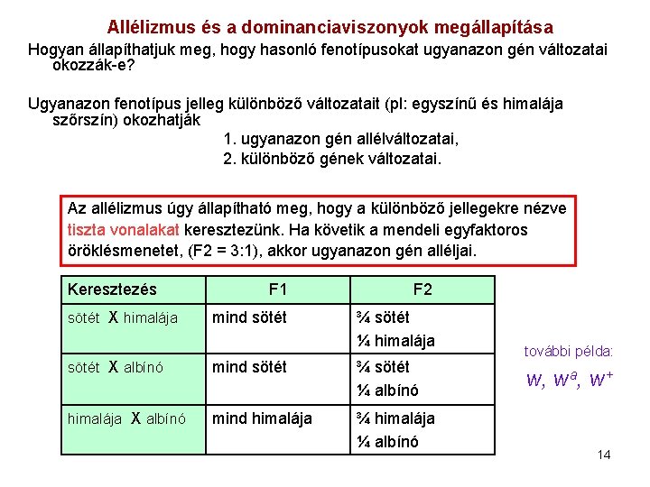 Allélizmus és a dominanciaviszonyok megállapítása Hogyan állapíthatjuk meg, hogy hasonló fenotípusokat ugyanazon gén változatai