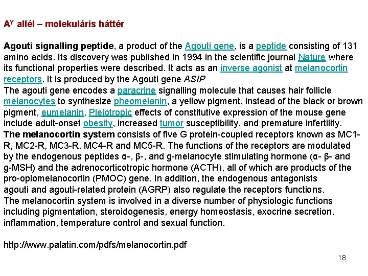 AY allél – molekuláris háttér Agouti signalling peptide, a product of the Agouti gene,