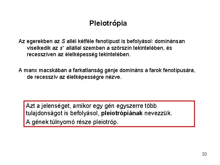 Pleiotrópia Az egerekben az S allél kétféle fenotípust is befolyásol: dominánsan viselkedik az s+