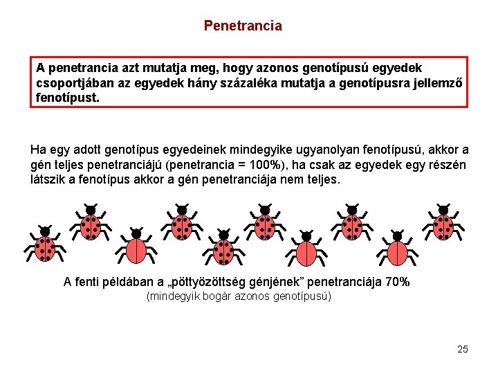 Penetrancia A penetrancia azt mutatja meg, hogy azonos genotípusú egyedek csoportjában az egyedek hány