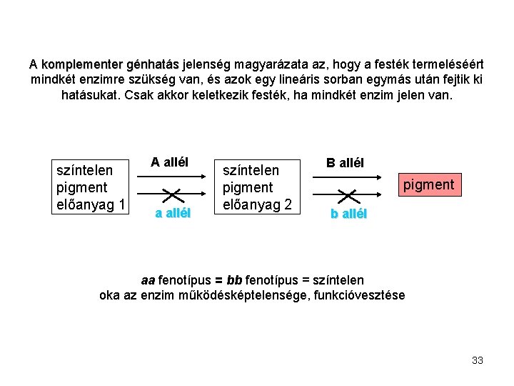 A komplementer génhatás jelenség magyarázata az, hogy a festék termeléséért mindkét enzimre szükség van,