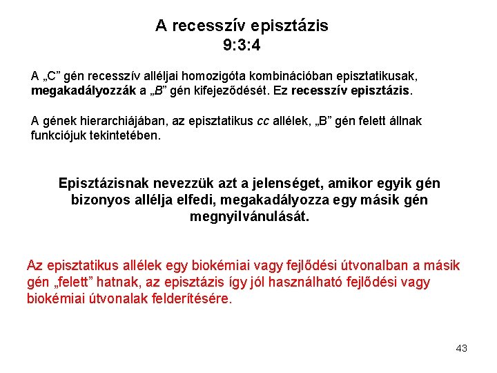 A recesszív episztázis 9: 3: 4 A „C” gén recesszív alléljai homozigóta kombinációban episztatikusak,