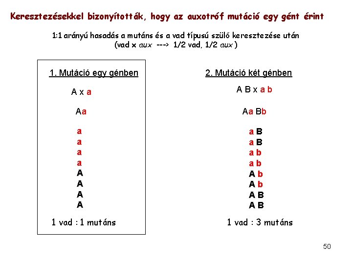 Keresztezésekkel bizonyították, hogy az auxotróf mutáció egy gént érint 1: 1 arányú hasadás a