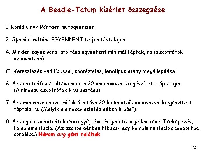 A Beadle-Tatum kísérlet összegzése 1. Konídiumok Röntgen mutagenezise 3. Spórák leoltása EGYENKÉNT teljes táptalajra