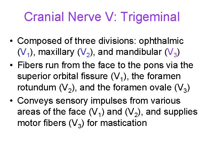 Cranial Nerve V: Trigeminal • Composed of three divisions: ophthalmic (V 1), maxillary (V