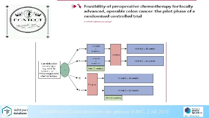 Grand Round Coloncarcinoom, lab gebouw VUMC, 2 okt 2019 