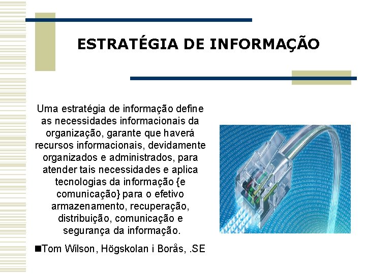ESTRATÉGIA DE INFORMAÇÃO Uma estratégia de informação define as necessidades informacionais da organização, garante