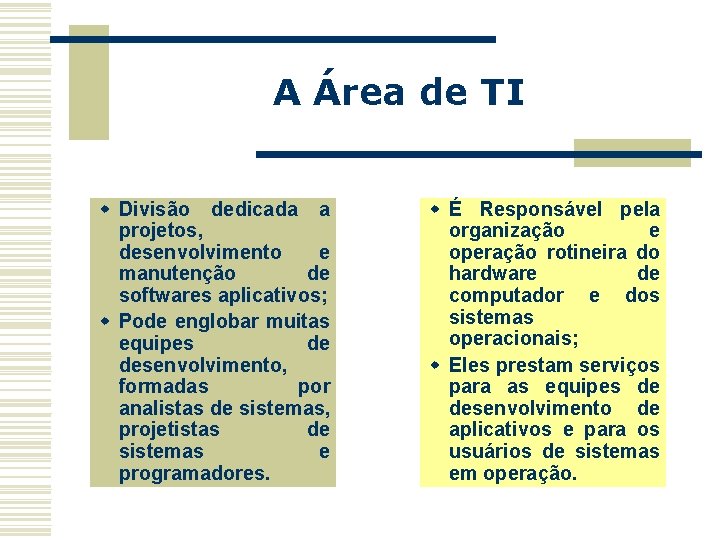 A Área de TI w Divisão dedicada a projetos, desenvolvimento e manutenção de softwares