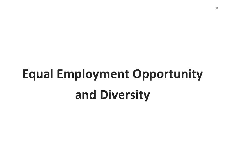 3 Equal Employment Opportunity and Diversity 