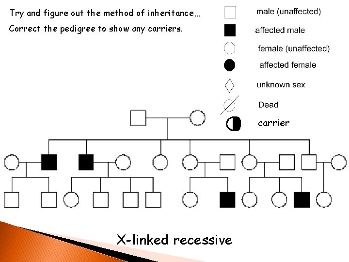 Try and figure out the method of inheritance… Correct the pedigree to show any