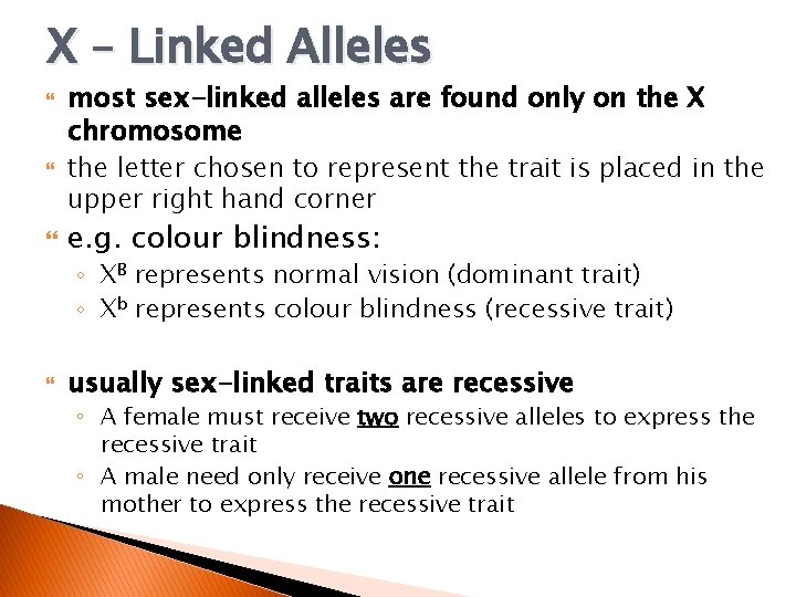 X – Linked Alleles most sex-linked alleles are found only on the X chromosome