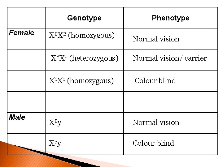 Genotype Female Male Phenotype XBXB (homozygous) Normal vision XBXb (heterozygous) Normal vision/ carrier Xb.