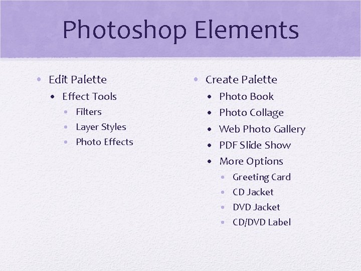 Photoshop Elements • Edit Palette • Effect Tools • Filters • Layer Styles •