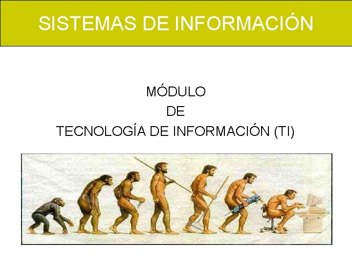 SISTEMAS DE INFORMACIÓN MÓDULO DE TECNOLOGÍA DE INFORMACIÓN (TI) 