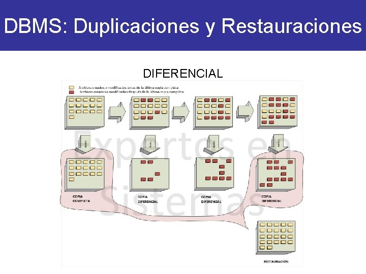 DBMS: Duplicaciones y Restauraciones DIFERENCIAL 