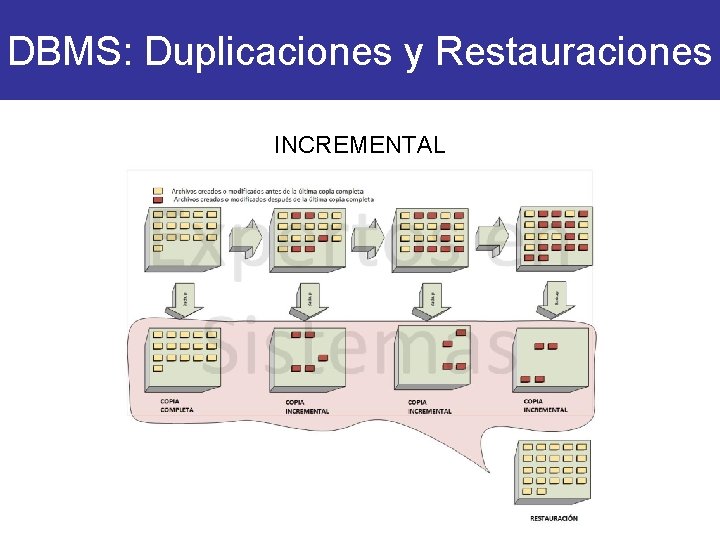 DBMS: Duplicaciones y Restauraciones INCREMENTAL 