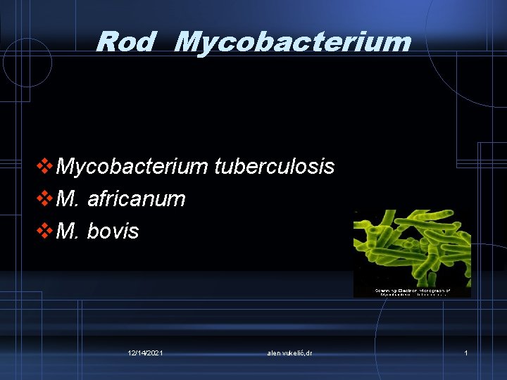 Rod Mycobacterium v. Mycobacterium tuberculosis v. M. africanum v. M. bovis 12/14/2021 alen vukelić,