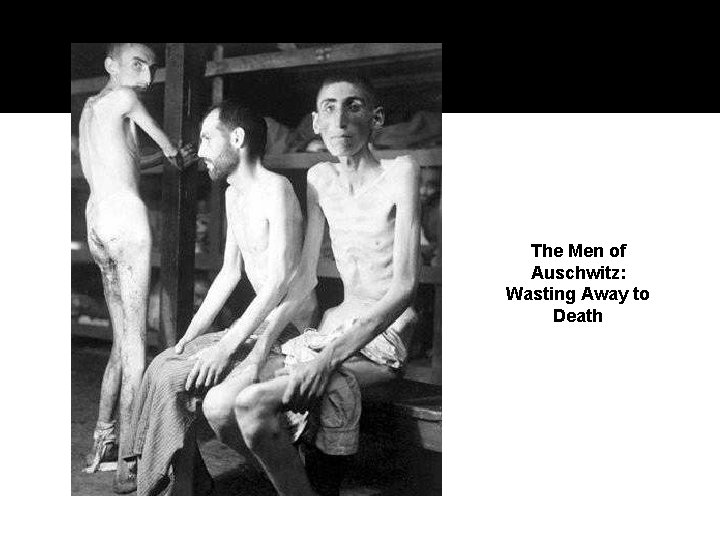 The Men of Auschwitz: Wasting Away to Death 