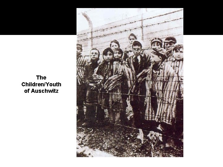 The Children/Youth of Auschwitz 