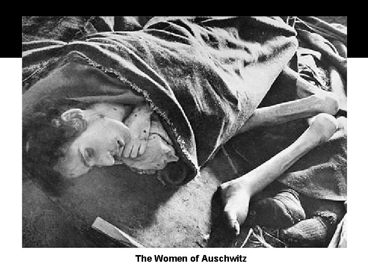 The Women of Auschwitz 