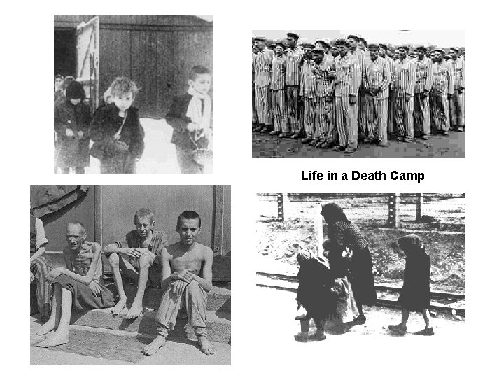 Life in a Death Camp 