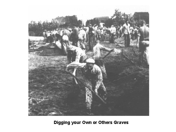 Digging your Own or Others Graves 