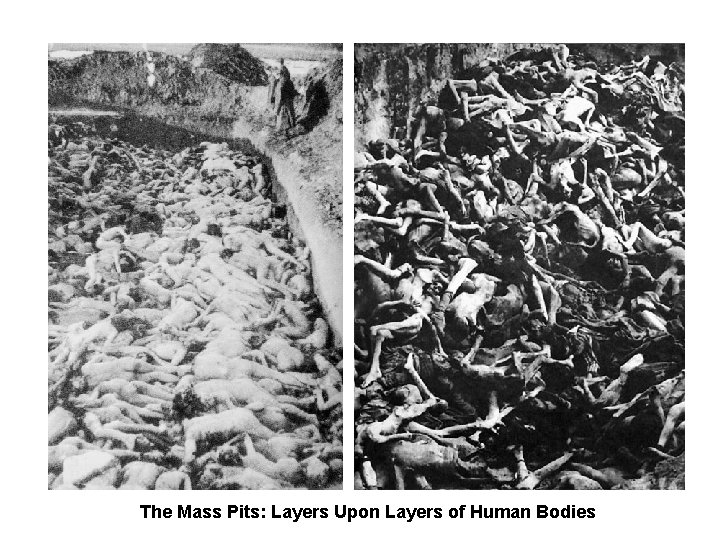 The Mass Pits: Layers Upon Layers of Human Bodies 