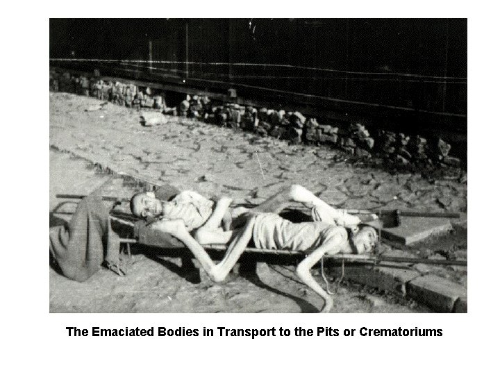 The Emaciated Bodies in Transport to the Pits or Crematoriums 