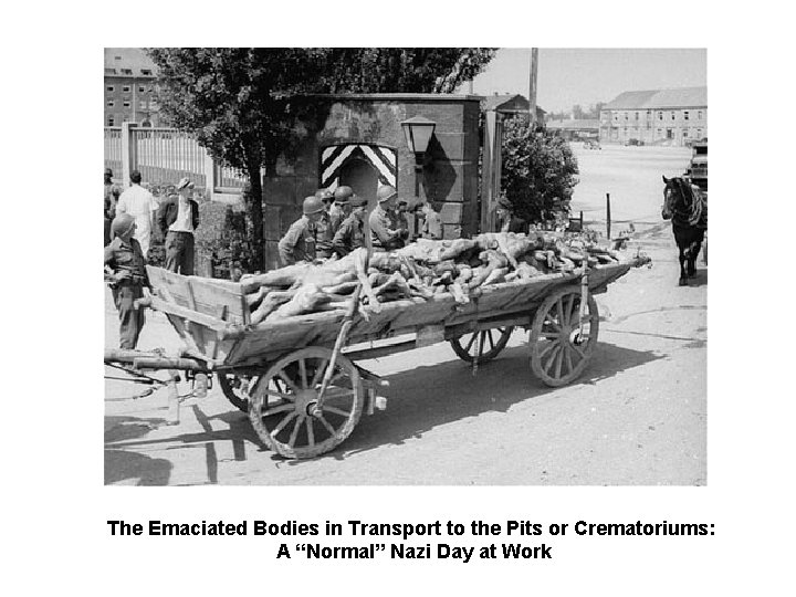 The Emaciated Bodies in Transport to the Pits or Crematoriums: A “Normal” Nazi Day