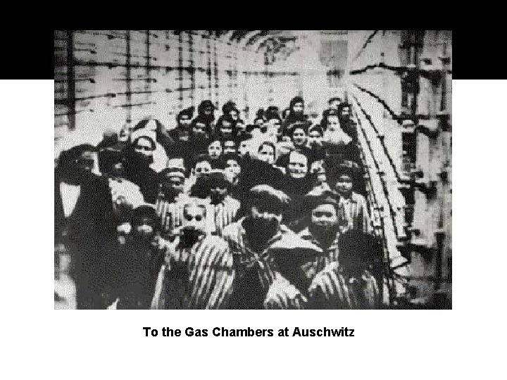 To the Gas Chambers at Auschwitz 
