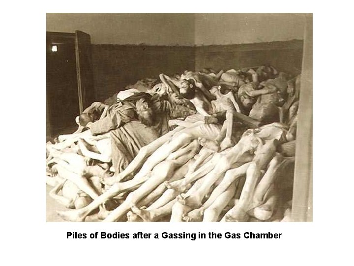 Piles of Bodies after a Gassing in the Gas Chamber 