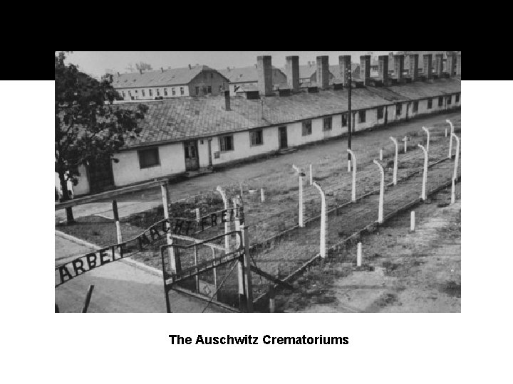 The Auschwitz Crematoriums 