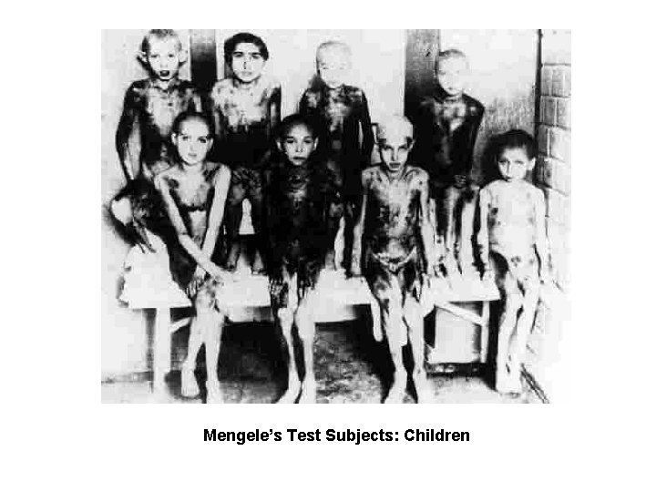 Mengele’s Test Subjects: Children 