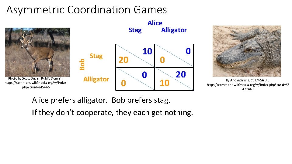Asymmetric Coordination Games Bob Alice Stag Alligator Photo by Scott Bauer, Public Domain, https: