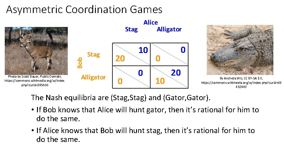 Asymmetric Coordination Games Bob Alice Stag Alligator Photo by Scott Bauer, Public Domain, https: