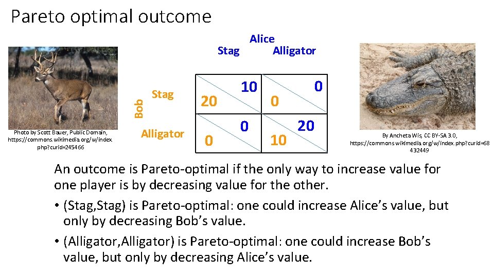 Pareto optimal outcome Bob Alice Stag Alligator Photo by Scott Bauer, Public Domain, https: