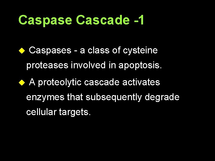 Caspase Cascade -1 u Caspases - a class of cysteine proteases involved in apoptosis.