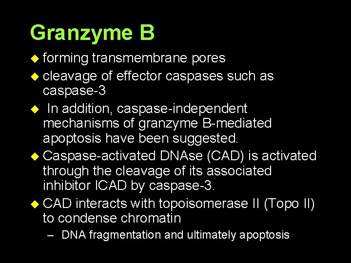 Granzyme B u forming transmembrane pores u cleavage of effector caspases such as caspase-3