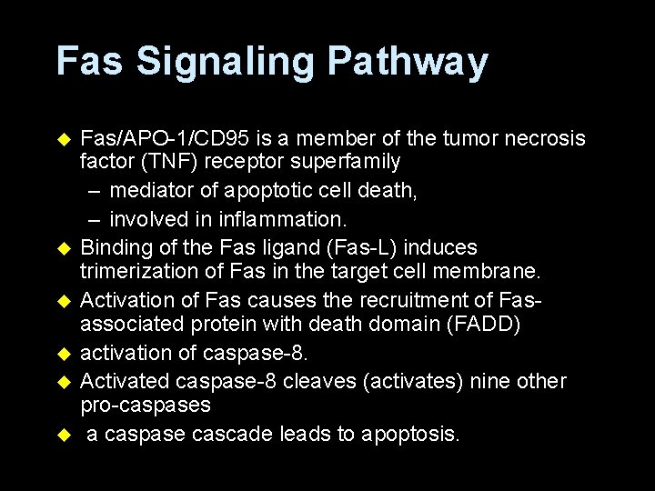 Fas Signaling Pathway u u u Fas/APO-1/CD 95 is a member of the tumor