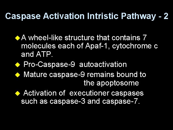 Caspase Activation Intristic Pathway - 2 u. A wheel-like structure that contains 7 molecules